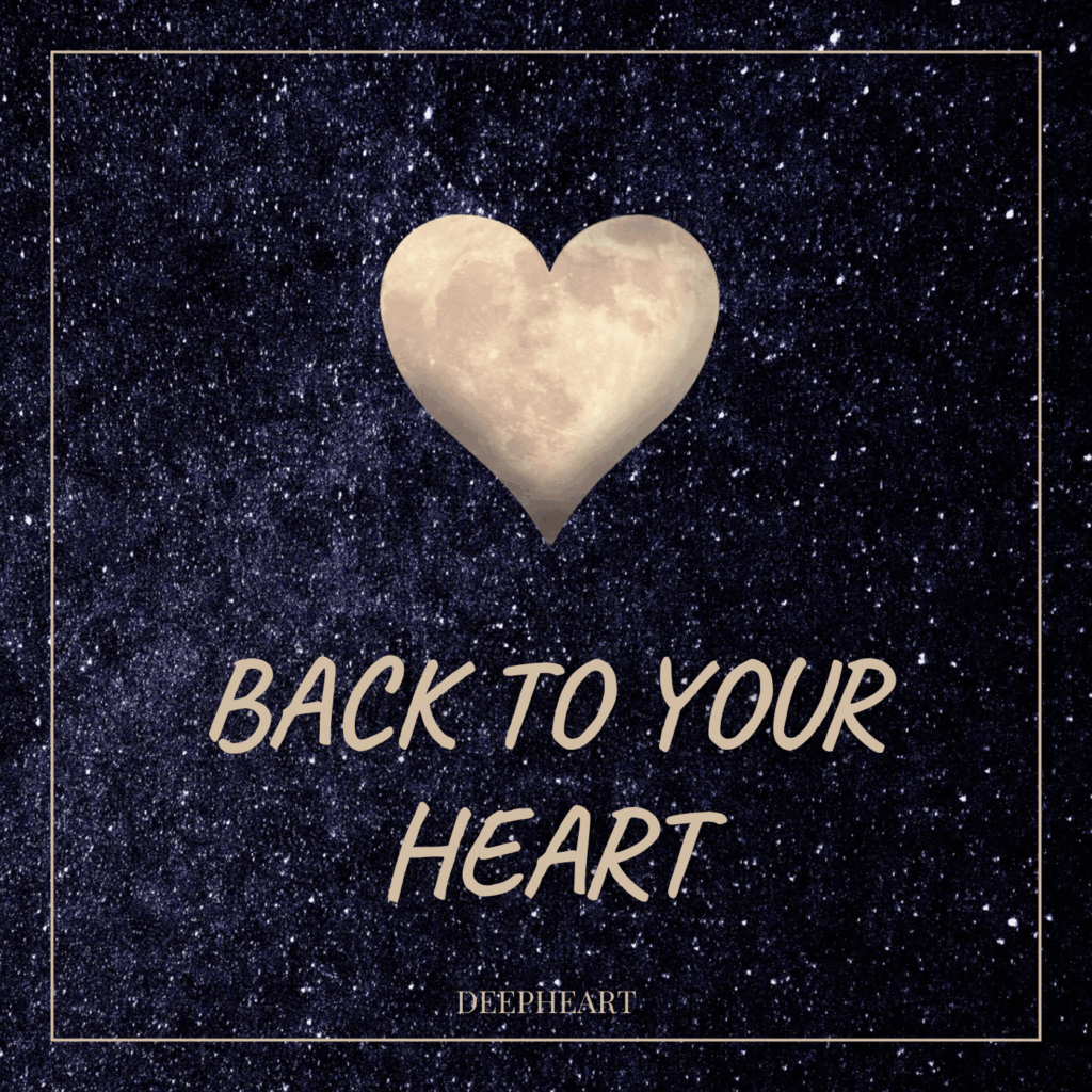 Cover Meditation Back to your heart