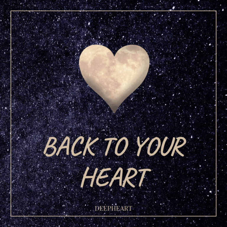 Cover Meditation Back to your heart