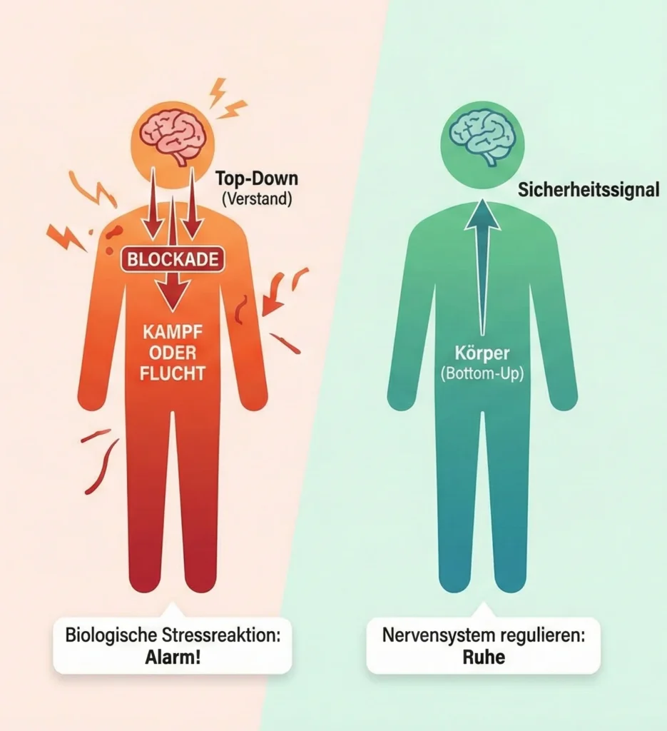Biologische Stressreaktion vs. Nervensystem regulieren